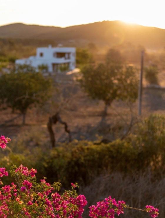 Een plek waar je vertraagt en de dag zacht afrondt